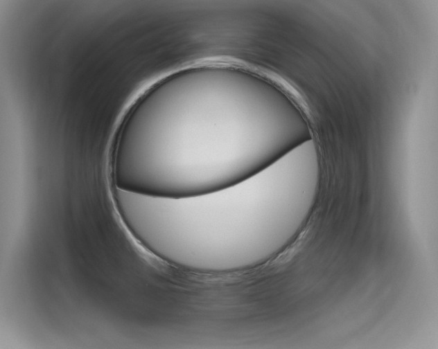 X0000115611430200911100923