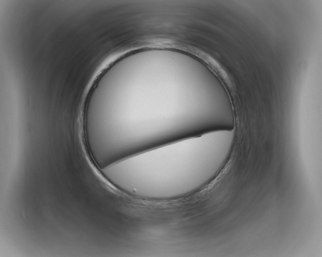 X0000115611432200911100923