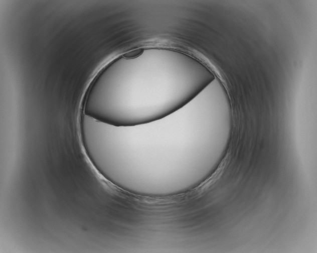 X0000115611434200911100923