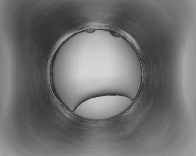 X0000115611435200911100923