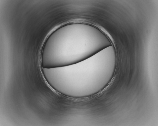 X0000115611437200911100923