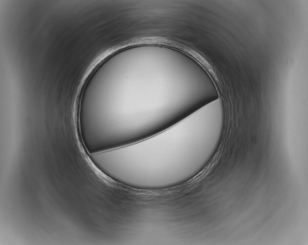 X0000115611438200911100923