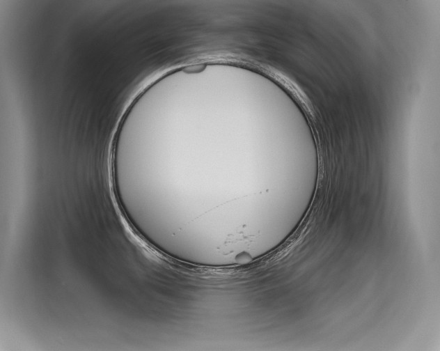 X0000115611439200911100923