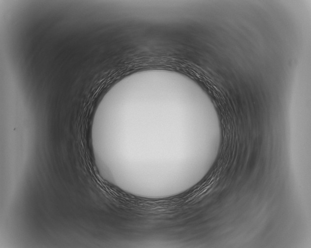 X0000115611441200911100922