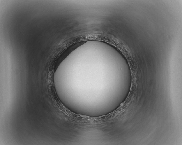 X0000115611445200911100922