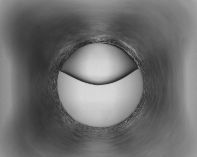 X0000115611447200911100922