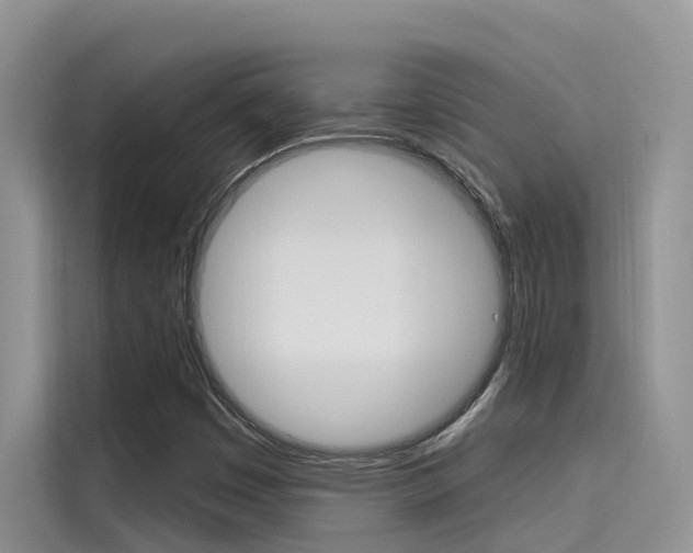 X0000115611449200911100922