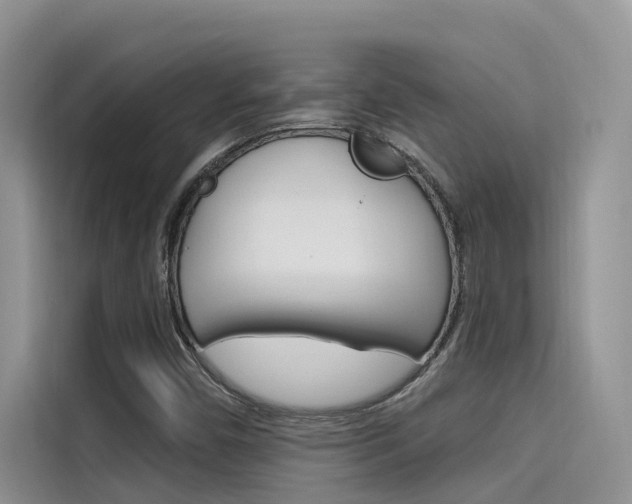 X0000115611450200911100922