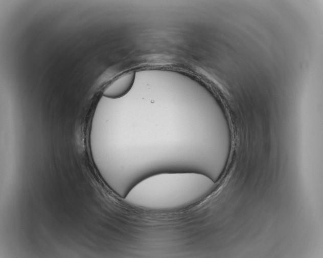 X0000115611451200911100922
