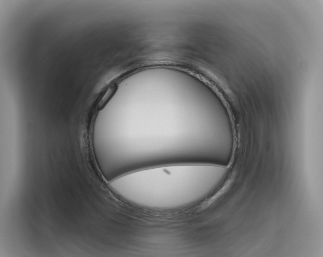 X0000115611453200911100922