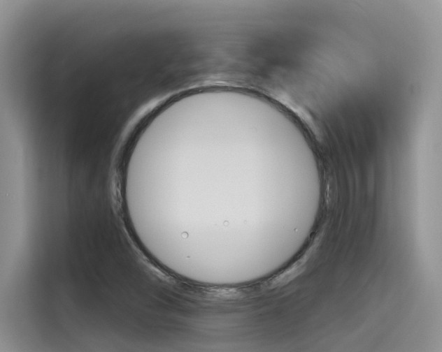 X0000115611454200911100922