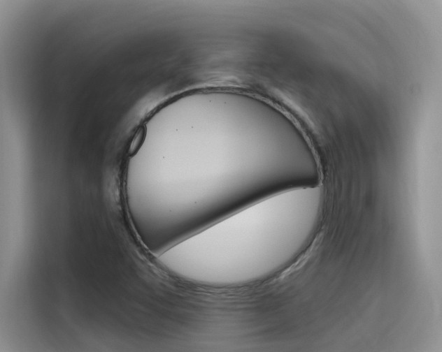 X0000115611455200911100922