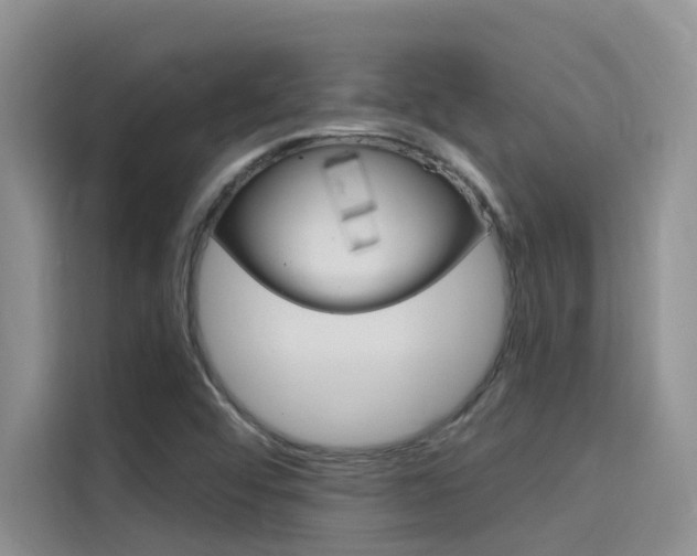X0000115611456200911100922
