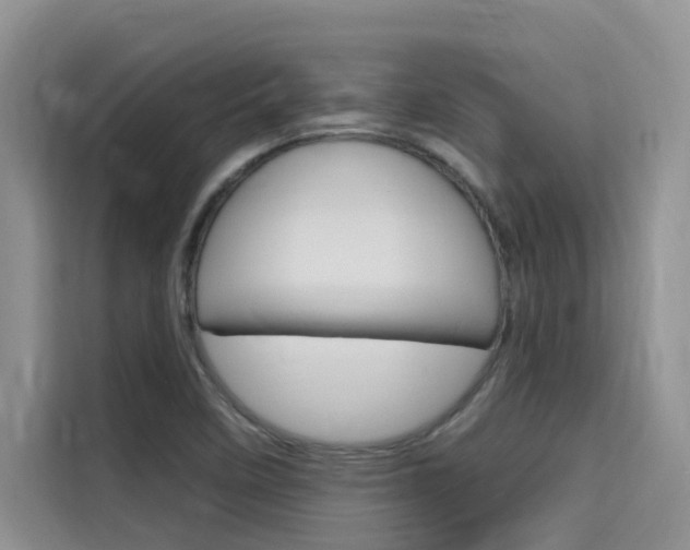 X0000115611458200911100922