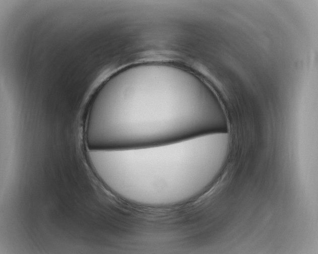 X0000115611459200911100922