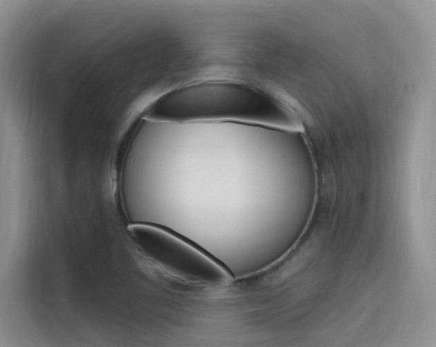 X0000115611461200911100922