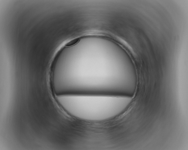 X0000115611463200911100922