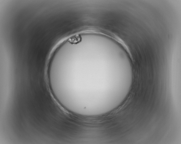 X0000115611464200911100922