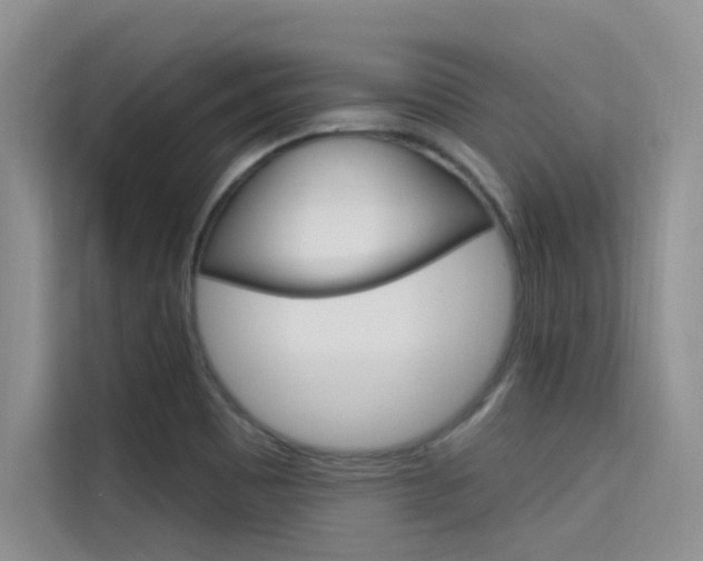 X0000115611465200911100922