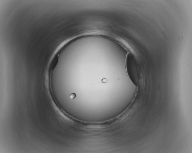 X0000115611468200911100922