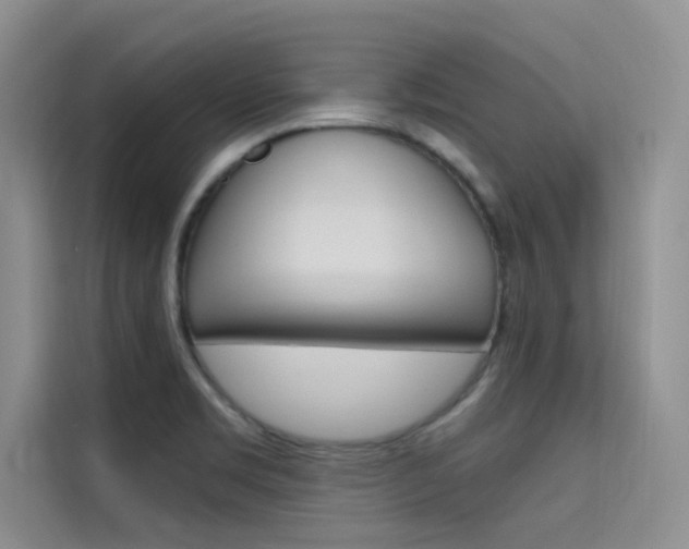 X0000115611469200911100922