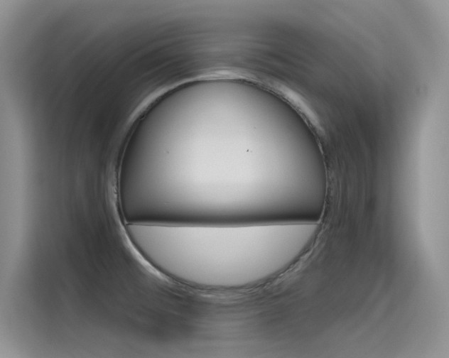 X0000115611476200911100922