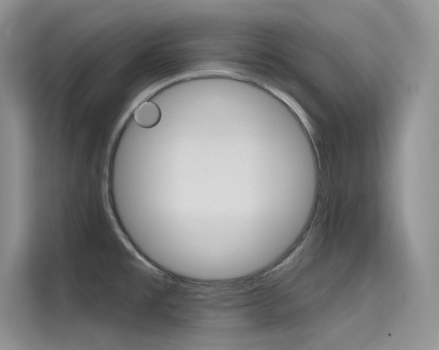X0000115611477200911100922