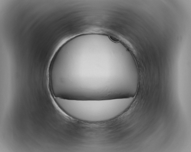 X0000115611479200911100922