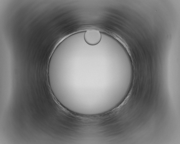 X0000115611481200911100922