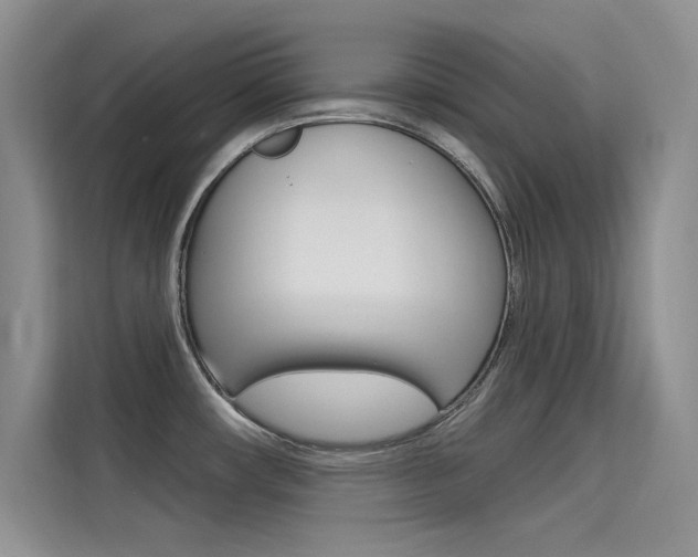 X0000115611482200911100922
