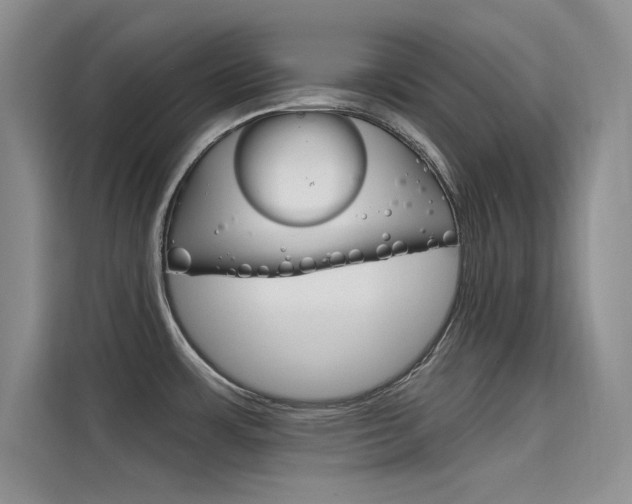 X0000115611483200911100922