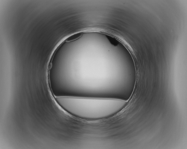 X0000115611484200911100922