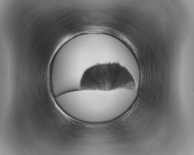 X0000115611487200911100922
