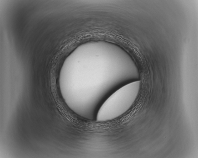 X0000115611489200911100921