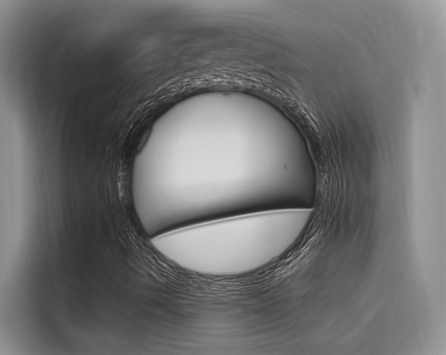 X0000115611490200911100921