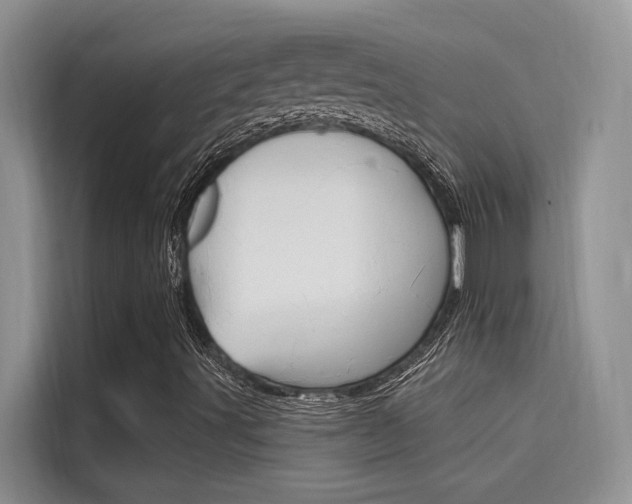 X0000115611491200911100921