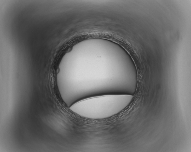 X0000115611493200911100921