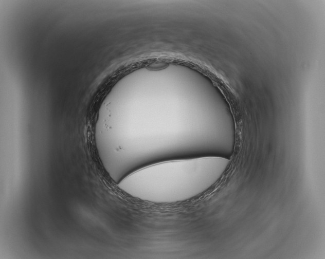 X0000115611495200911100921