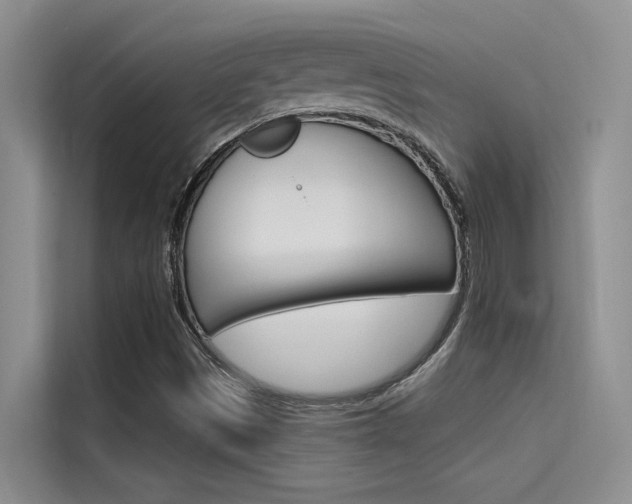 X0000115611497200911100921