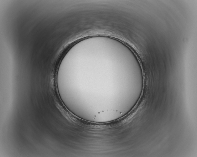 X0000115611499200911100921