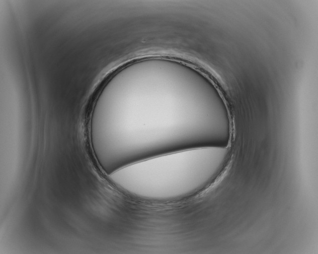 X0000115611501200911100921