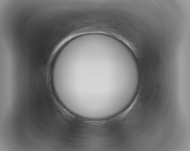 X0000115611502200911100921