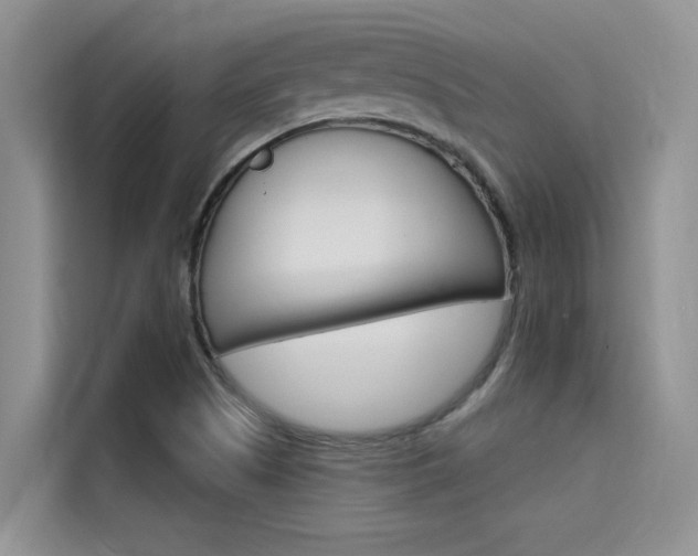 X0000115611505200911100921