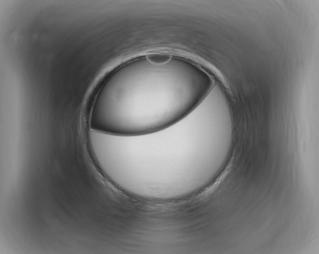 X0000115611506200911100921