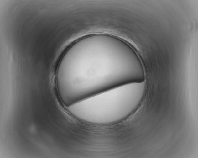 X0000115611507200911100921