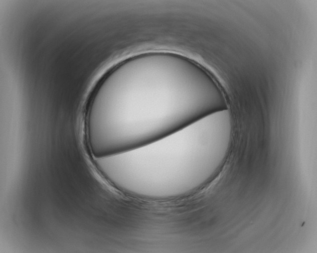 X0000115611511200911100921