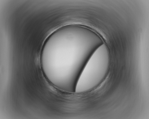 X0000115611513200911100921