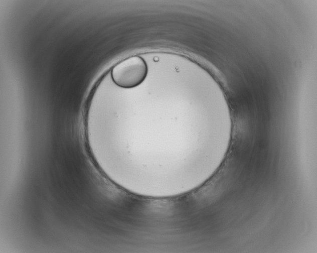X0000115611514200911100921