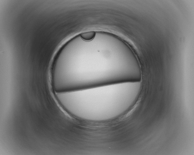 X0000115611517200911100921