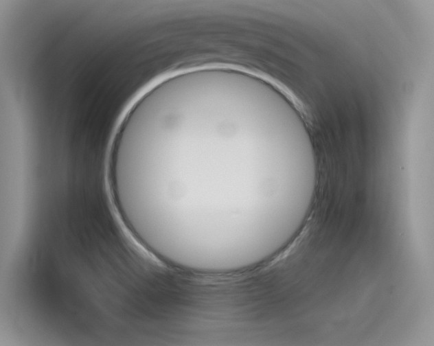 X0000115611518200911100921